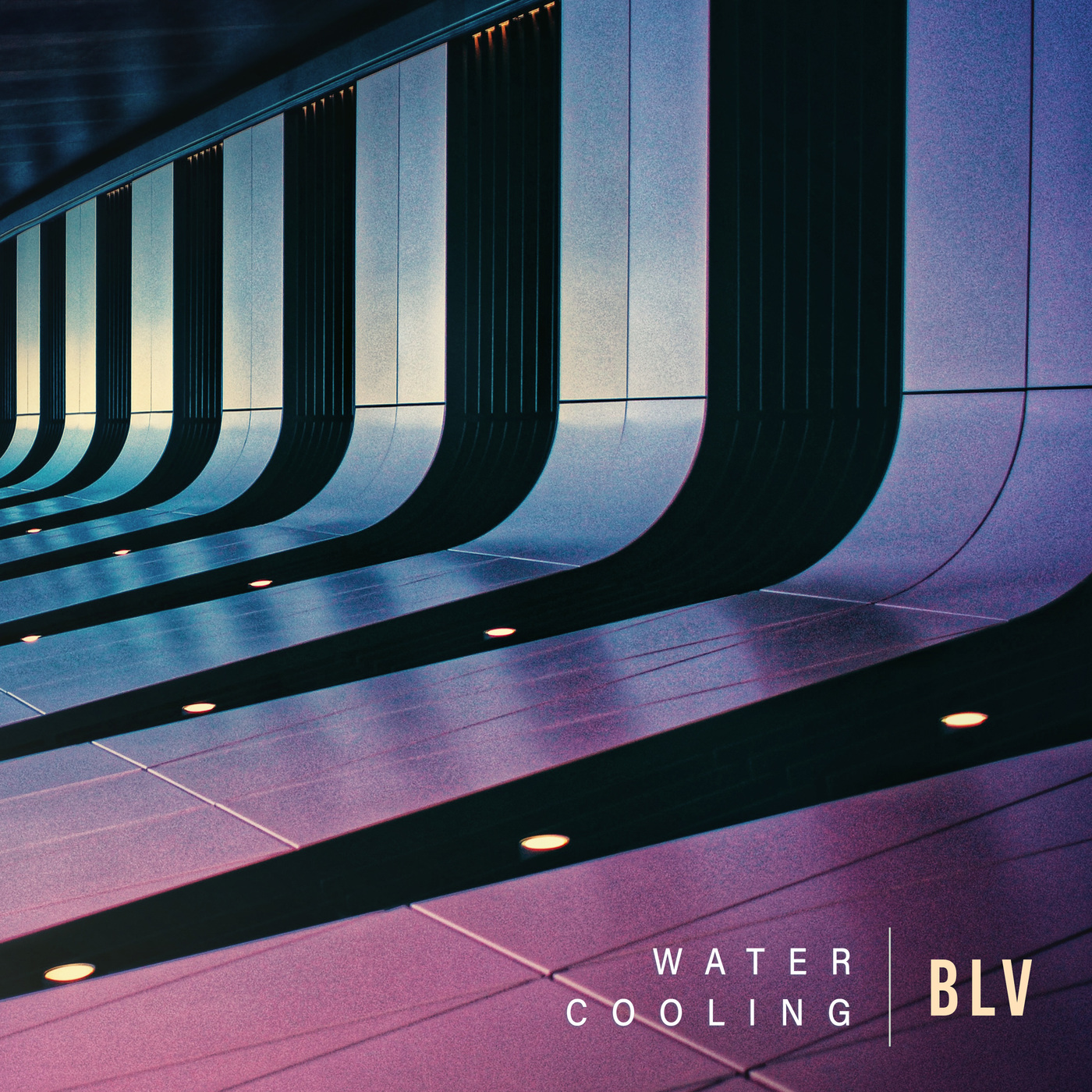 Blv